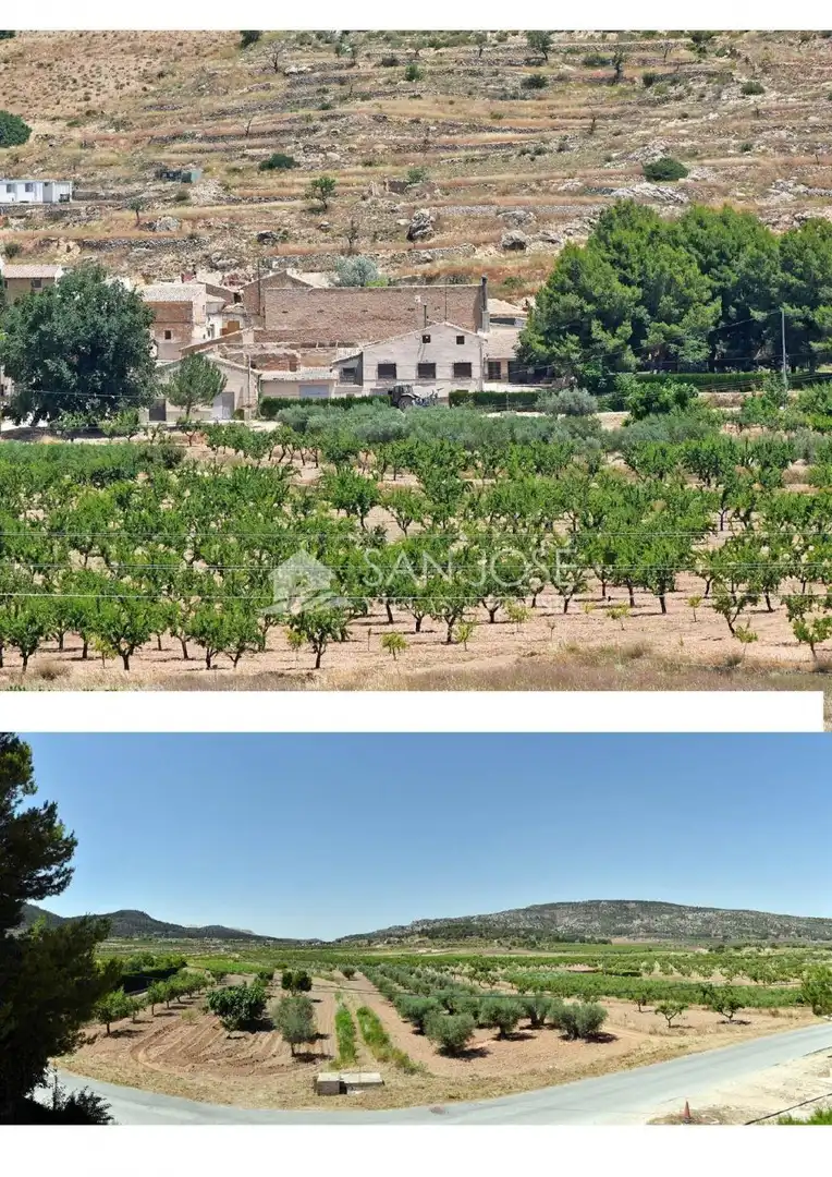 Finca rústica en venta en El Pinós / Pinoso con Jardín privado, Piscina y Amueblado