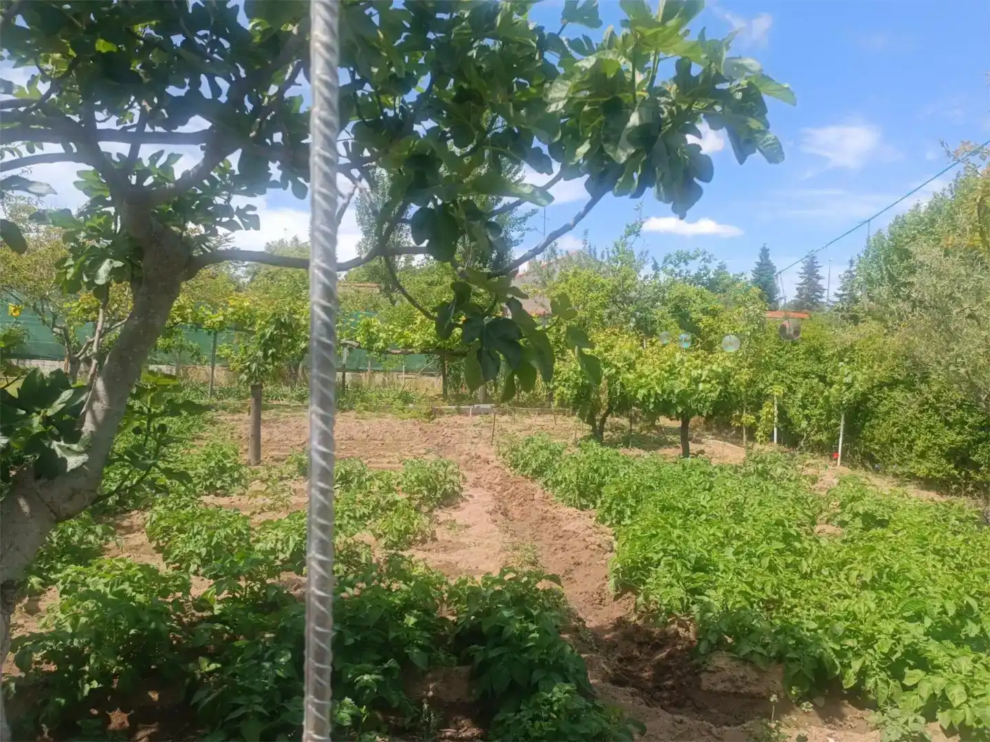 Finca rústica en venda en Villamayor amb Piscina