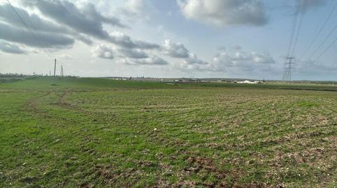 Foto 4 von Grundstücke zum Verkauf in Centro, Utrera