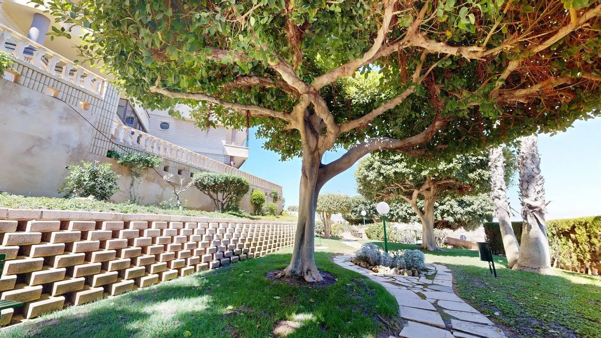 Jardí de Apartament de lloguer en Elche / Elx amb Calefacció, Jardí privat i Terrassa
