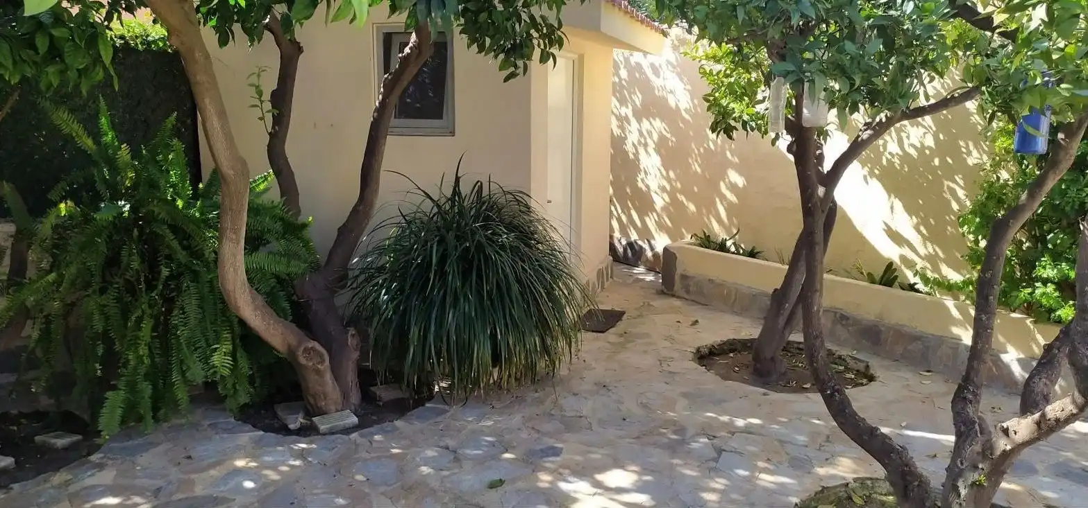 Jardí de Casa o xalet en venda en L'Alfàs del Pi amb Jardí privat