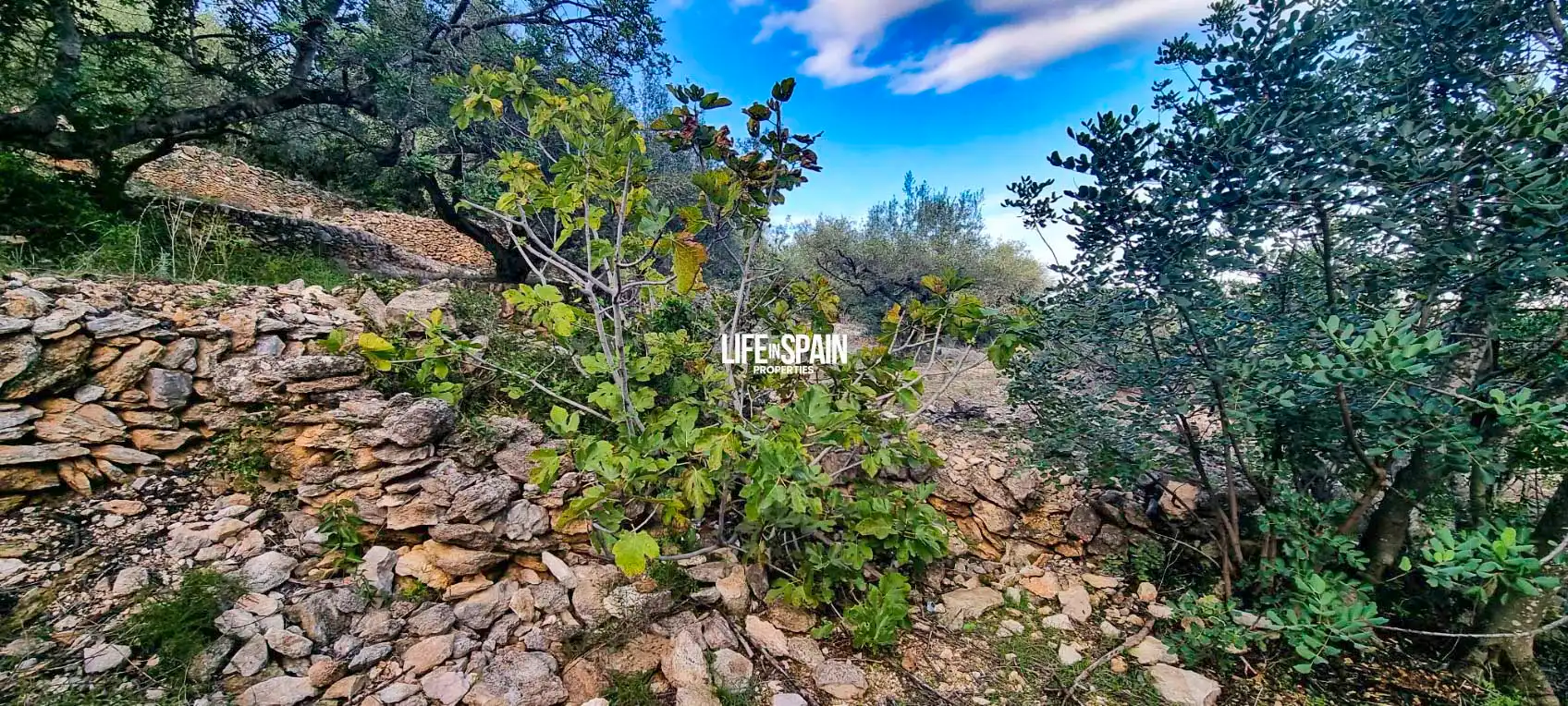 Finca rústica en venda en Roquetes amb Jardí privat i Piscina