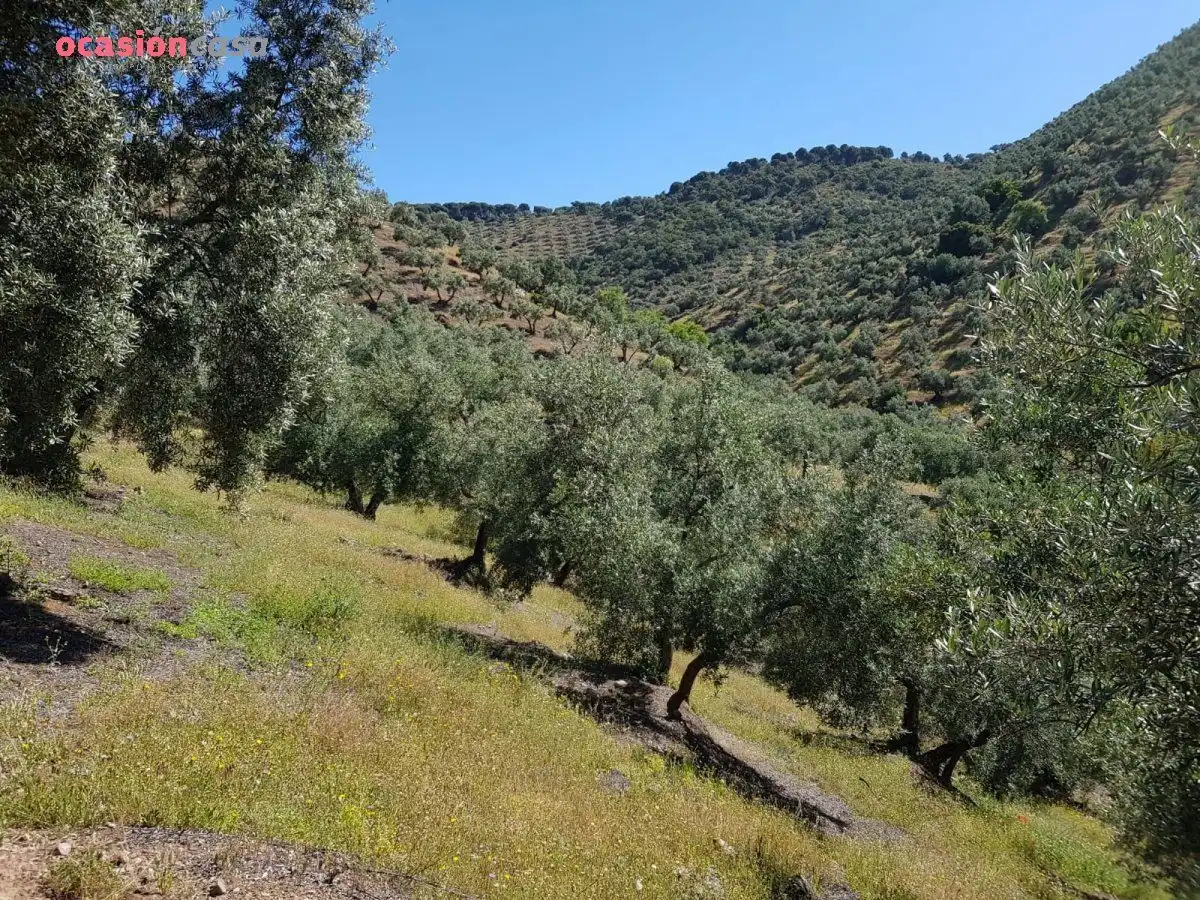 Finca rústica en venta en Villanueva de Córdoba con Jardín privado, Trastero y Amueblado