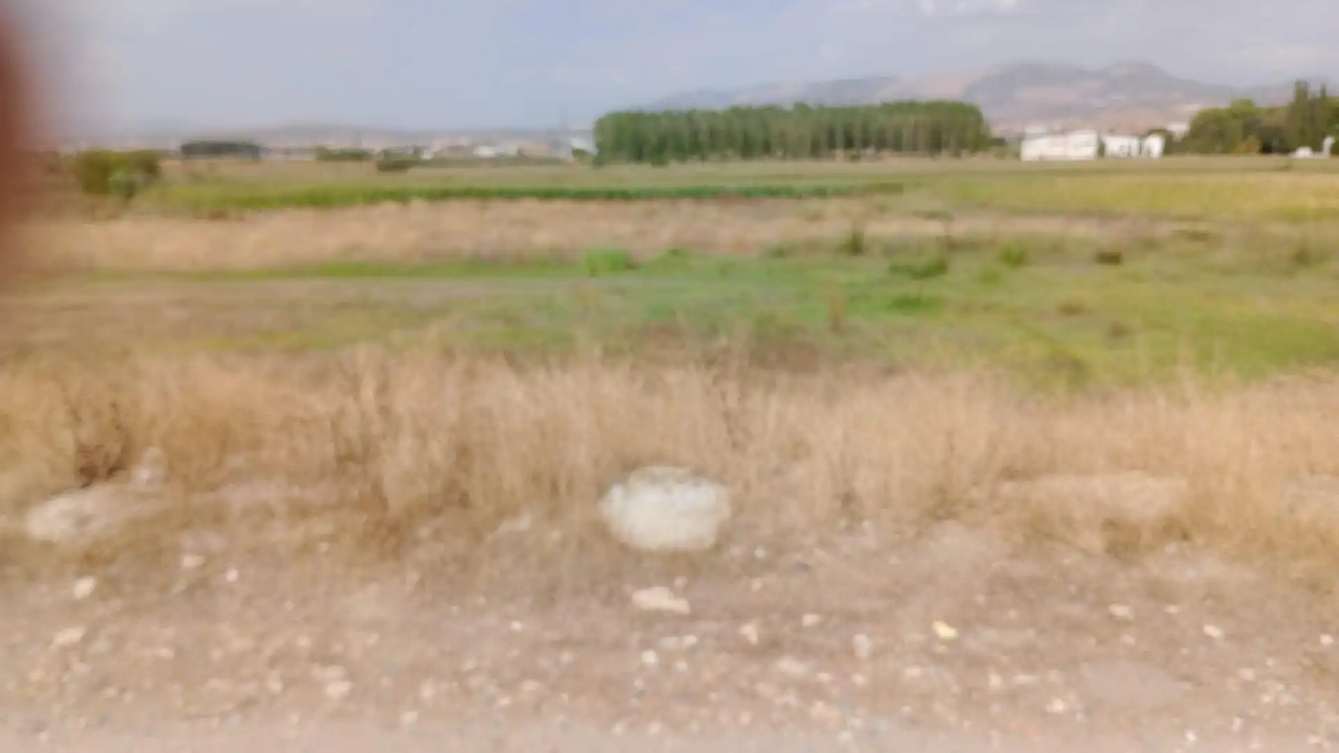 Terreno rustico in vendita a Ronda, imagen 13