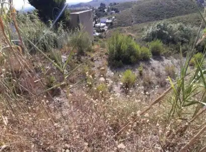 Residential land for sale in Carrer del General Palafox 44, imagen 13