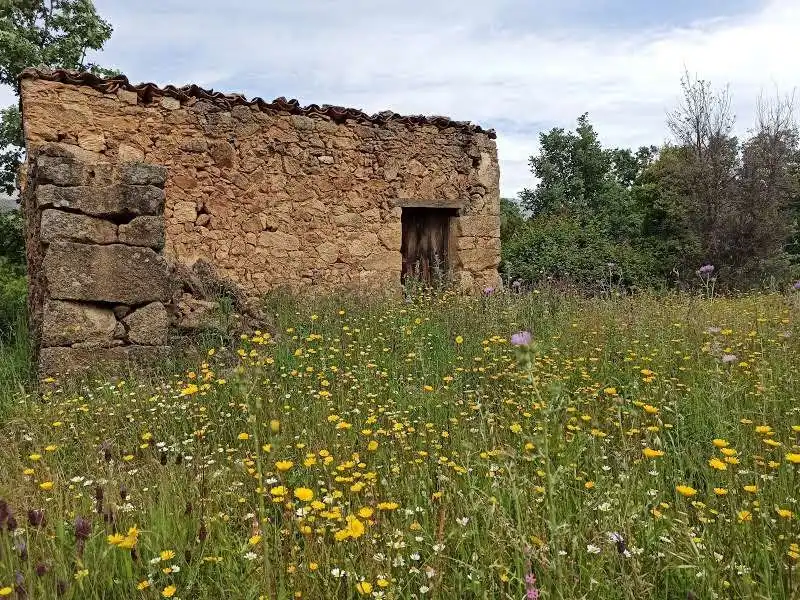 Terreni e lotti in vendita a Villanueva de la Vera, imagen 74