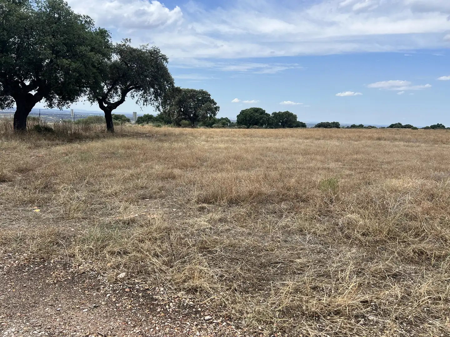 Land for sale in Calle Hernán Cortés, 20, Jaraicejo