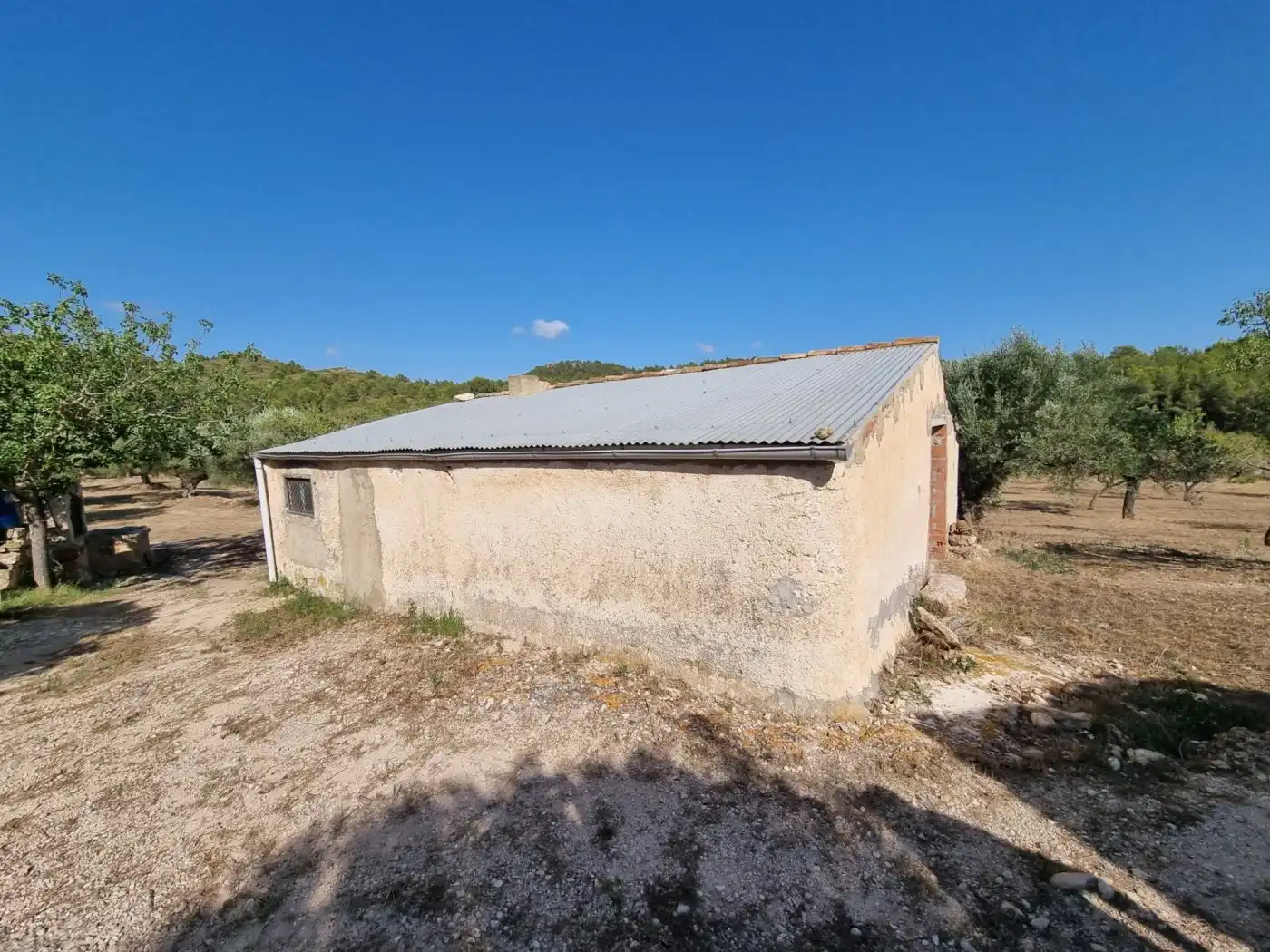 Local commercial à vendre à Tivissa, imagen 3