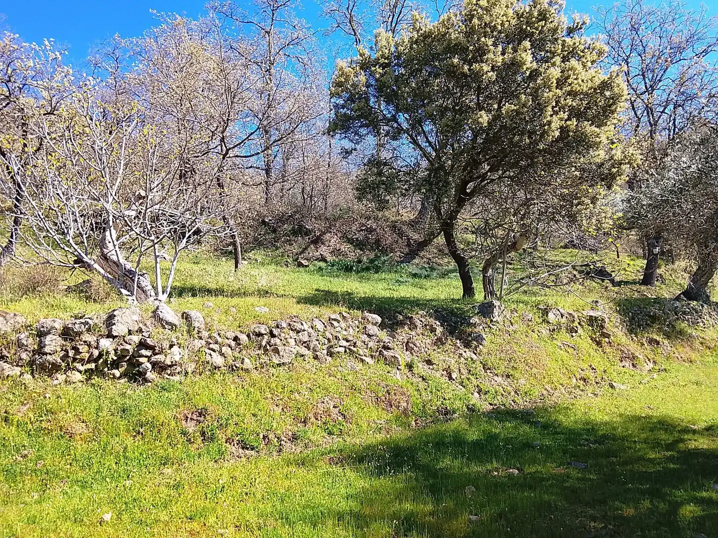 Terreni e lotti in vendita a Candeleda, imagen 52