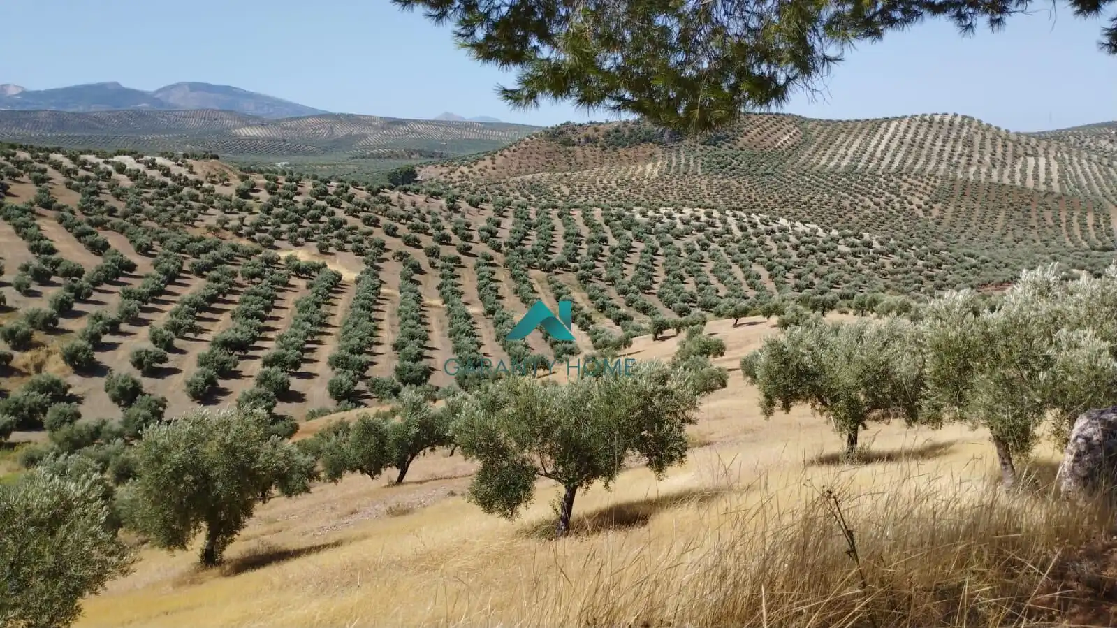 Terreni e lotti in vendita a Torredelcampo, imagen 4