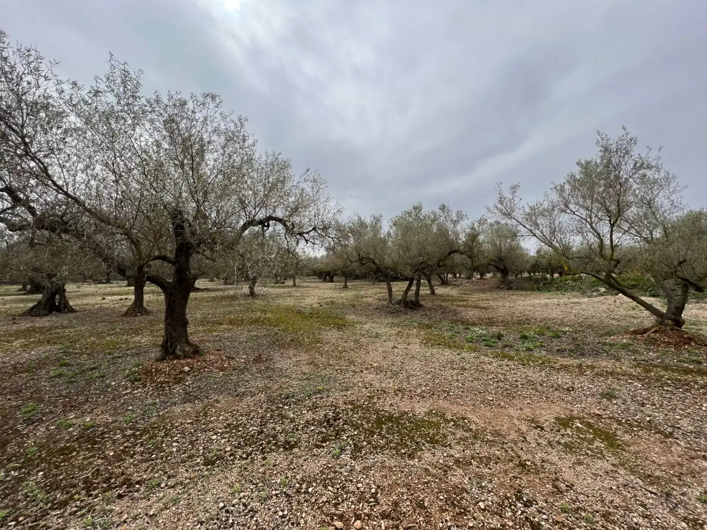 Casa rustica in vendita a Roquetes, imagen 10