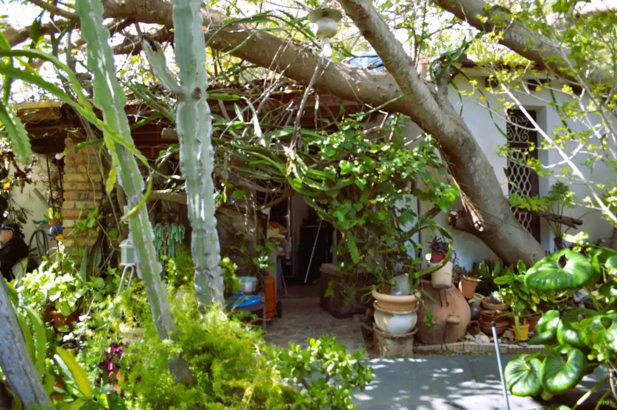 Garden of Houses for sale in Orihuela  with Air Conditioner, Heating and Private garden