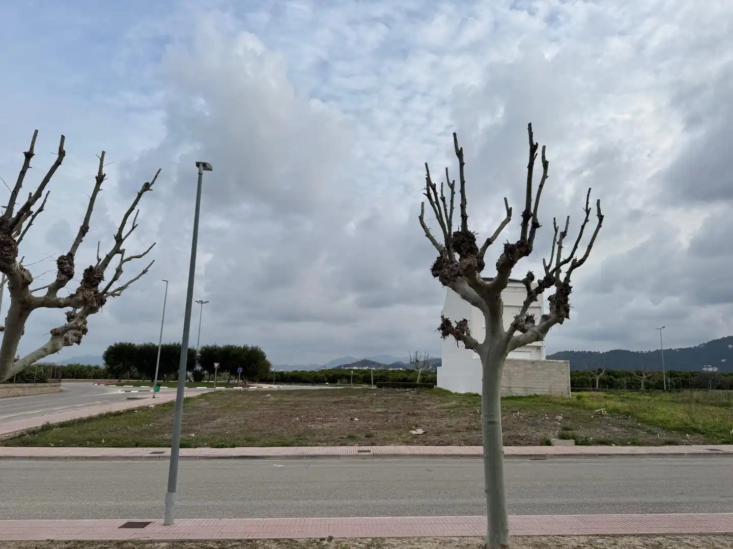 Terrenys i solars en venda a Calle Botánico Cabanilles 68, imagen 4