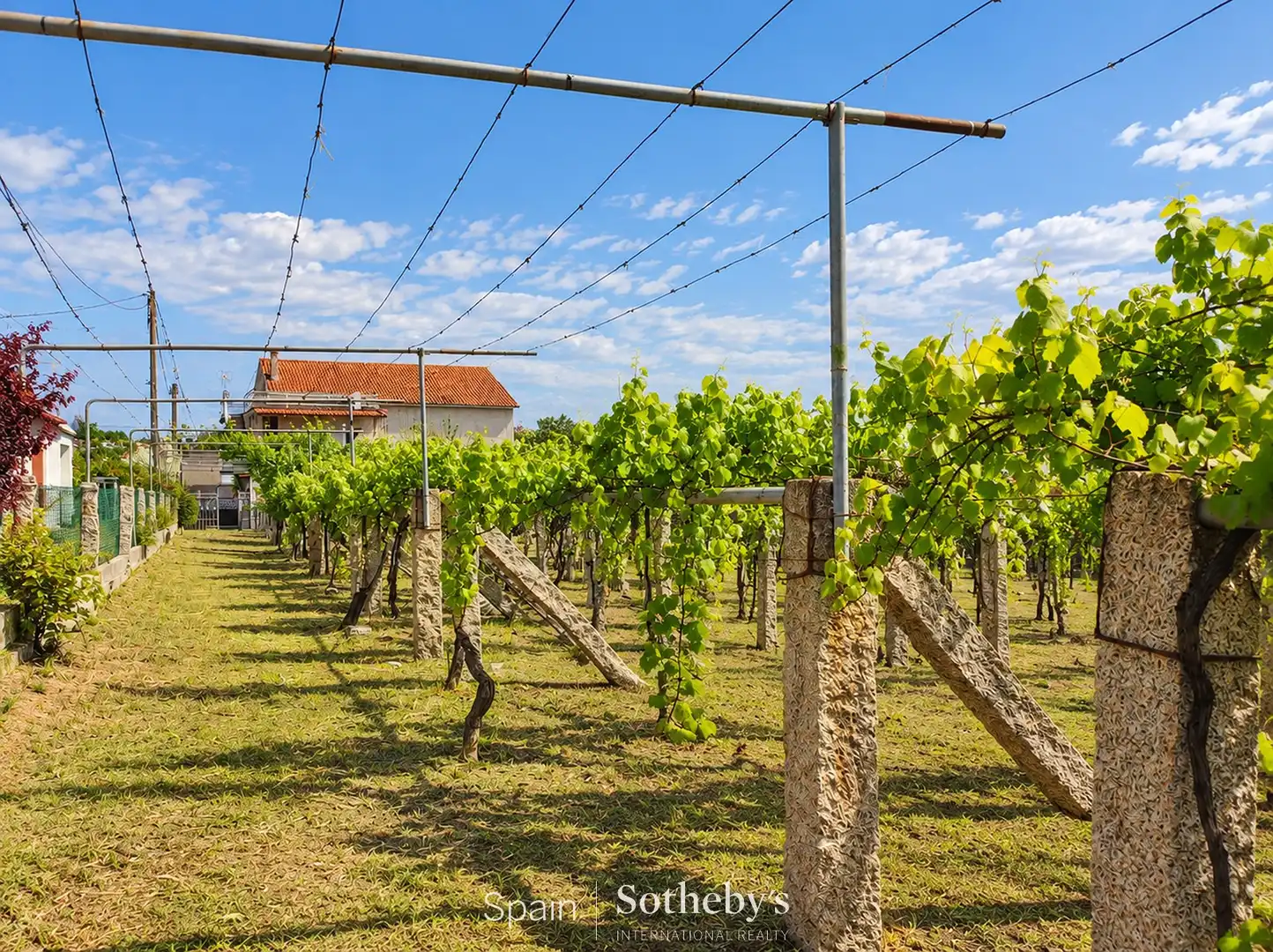 Residential land for sale in Lugar Padriñan, imagen 4
