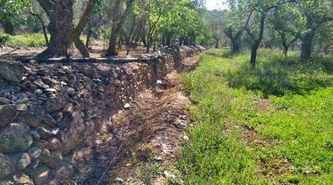Foto 5 de Terreno en venta en Calle Poligono 2, Parcela 207,208, Tomillar, Lecrí, Lecrín, Granada