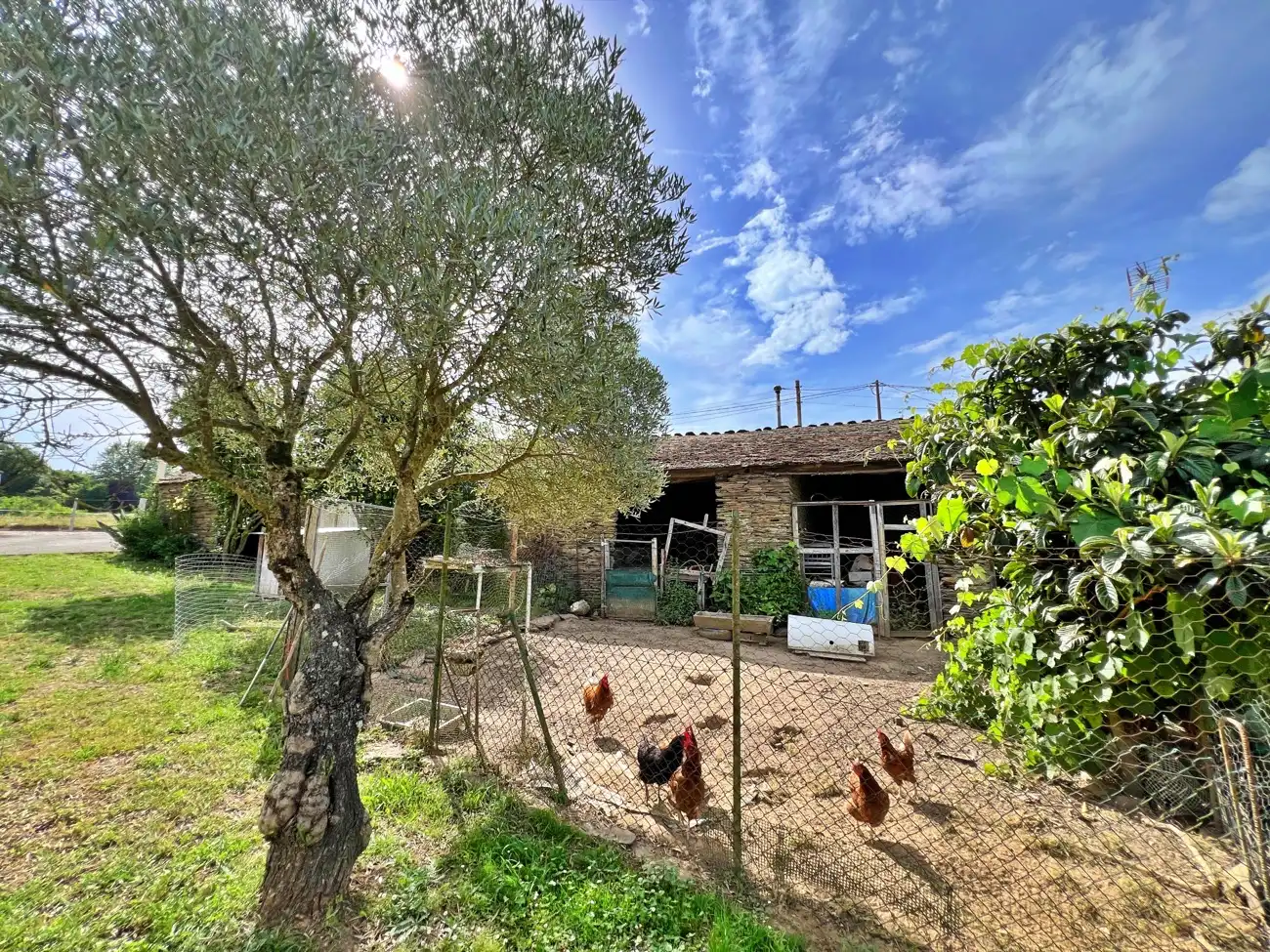Garden of Houses for sale in Lugo  with Private garden