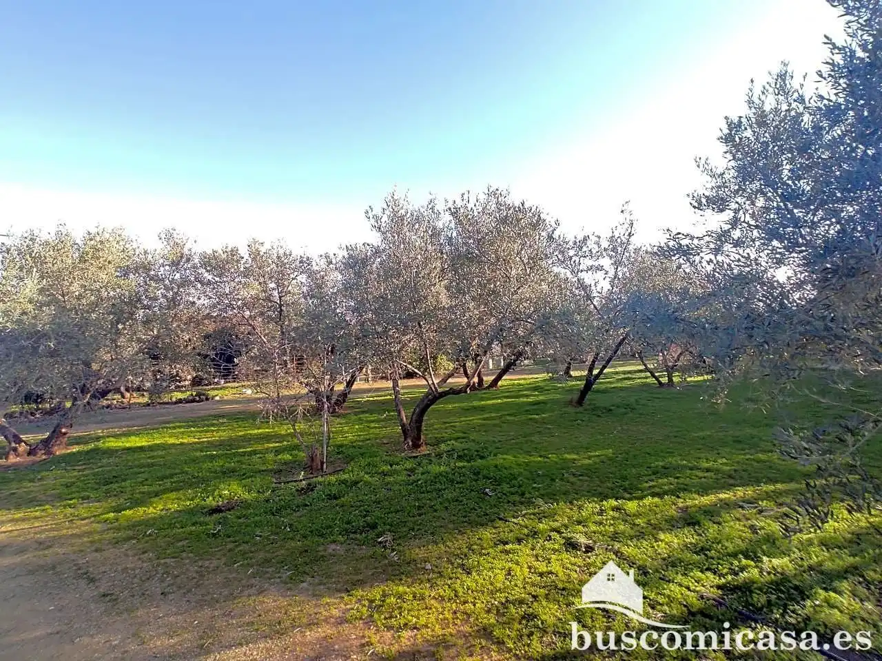 Casa amb jardí en venda a San Roque - La Cruz - La Rozuela, imagen 32
