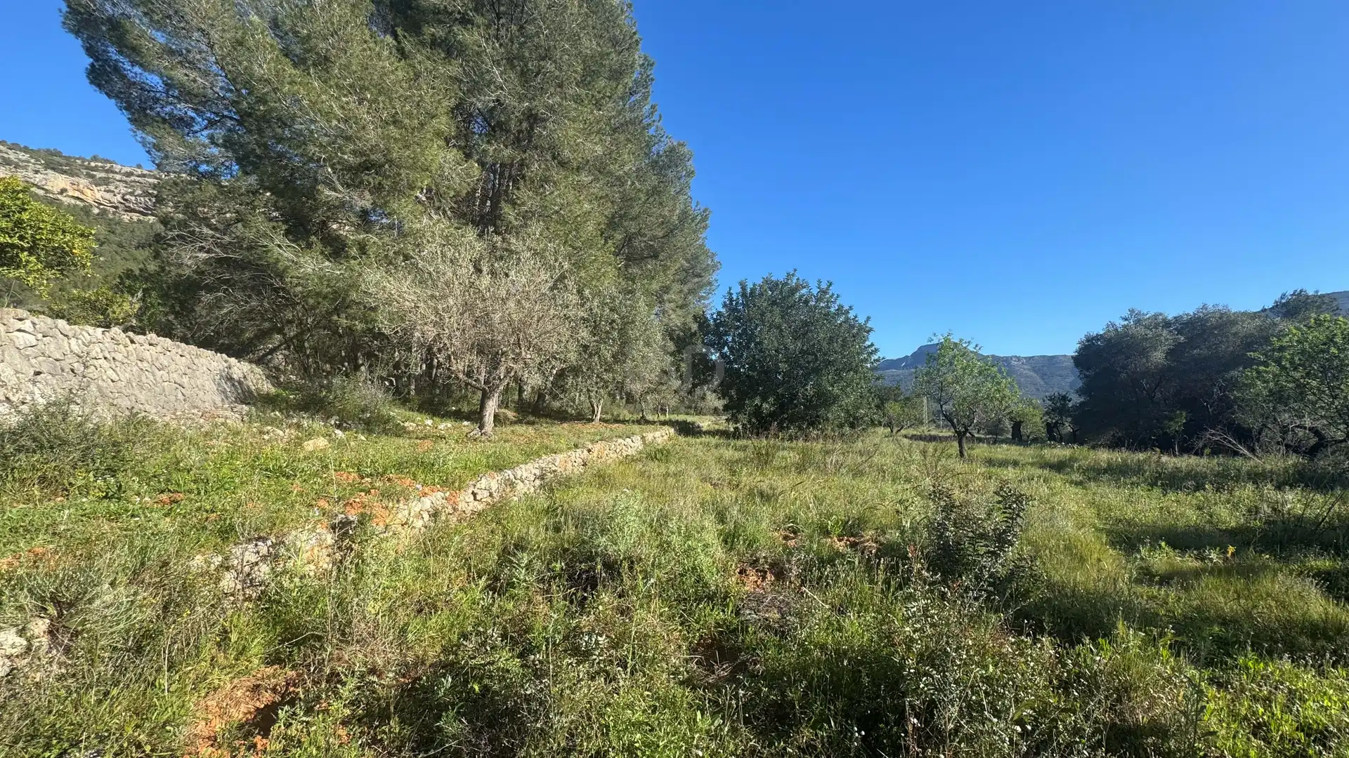 Residential for sale in Murla