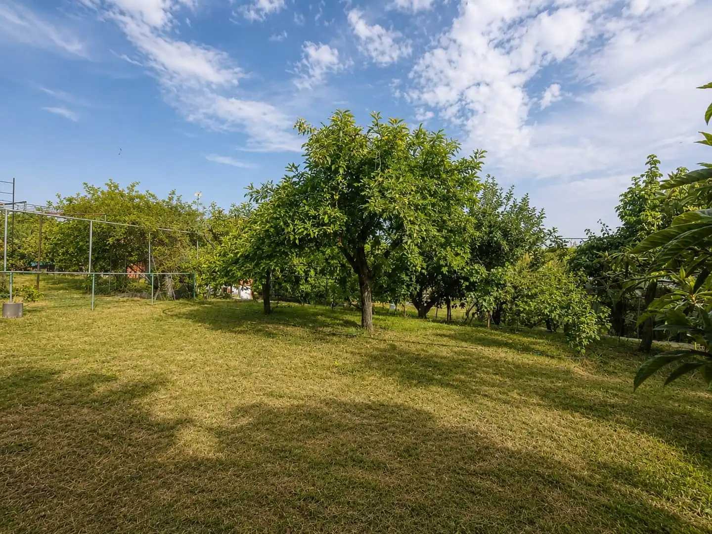 Houses for sale in Palomeque  with Private garden, Terrace and Storage room