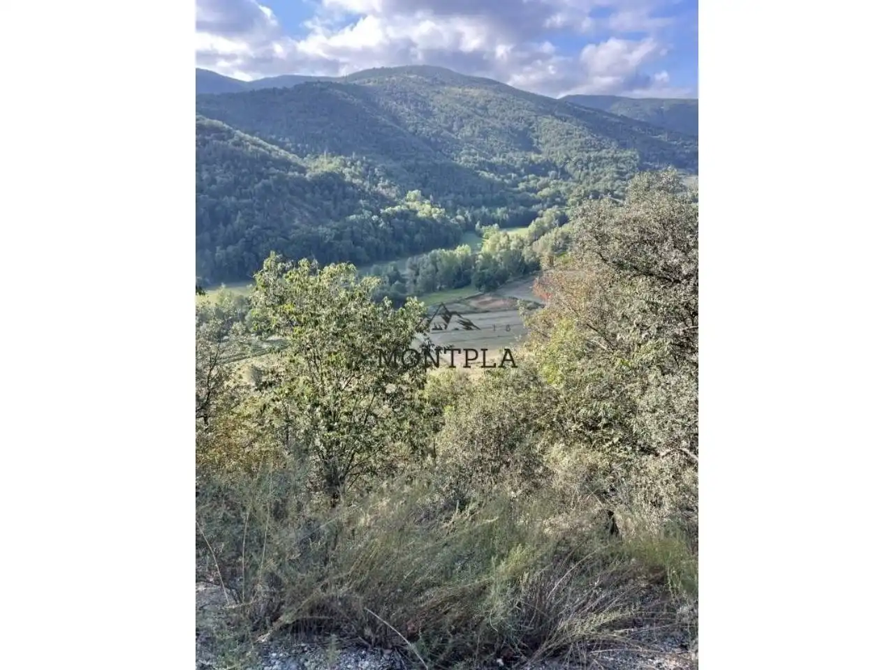 Terreno rústico en venta en Montferrer i Castellbò, imagen 3
