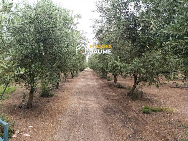 Terreno en Venta en TOSSAL DE MONCLÚS en Sudanell