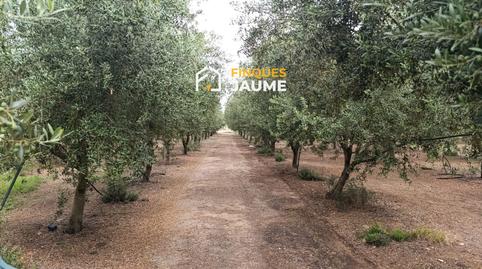 Foto 3 von Grundstücke zum Verkauf in Tossal de Monclús, Sudanell, Lleida