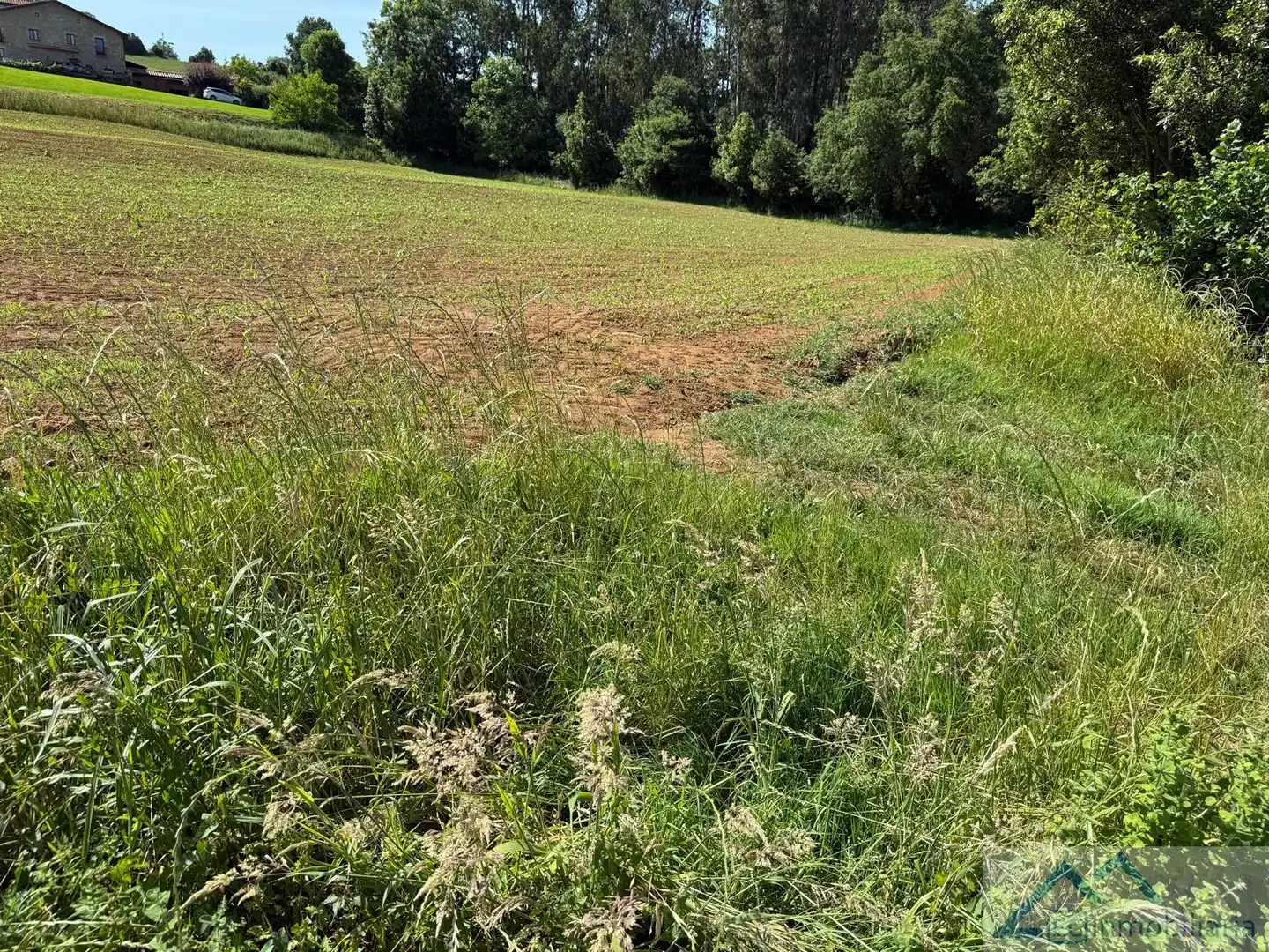 Lands and plots for sale in La Llastra, imagen 6