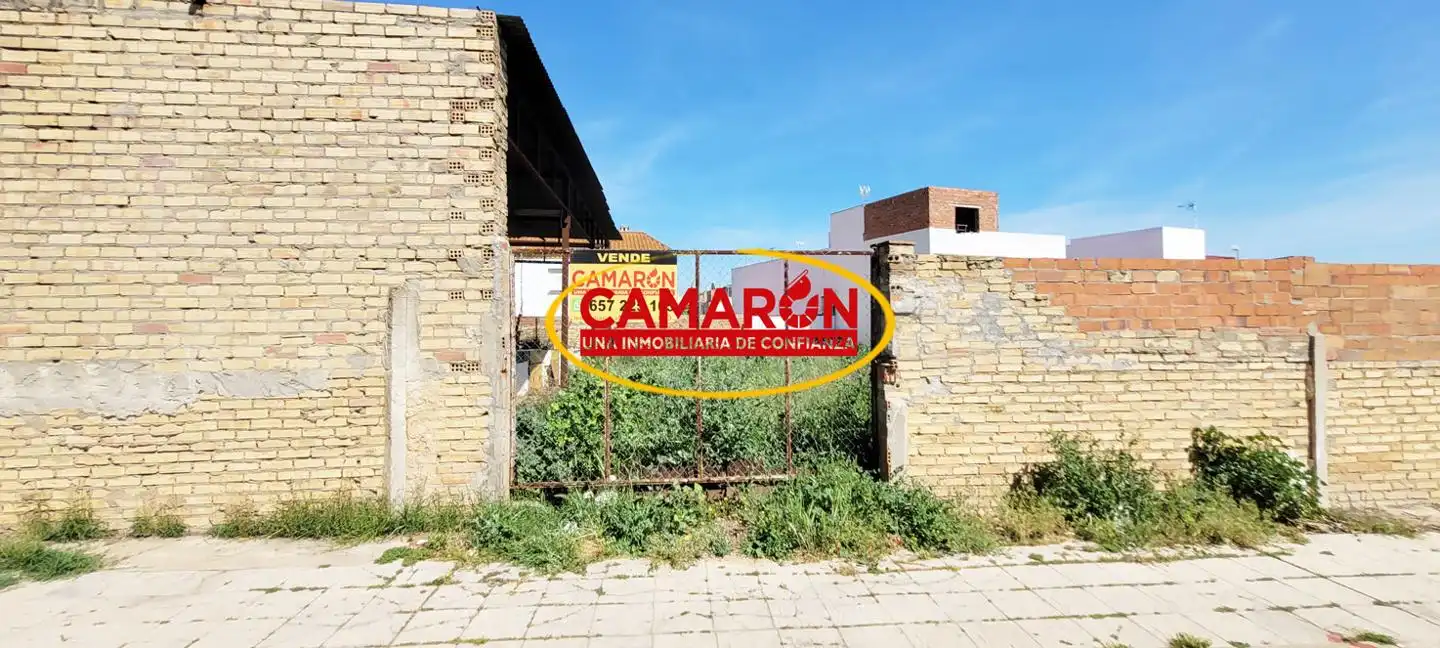 Lands and plots for sale in Palomares del Río, imagen 2