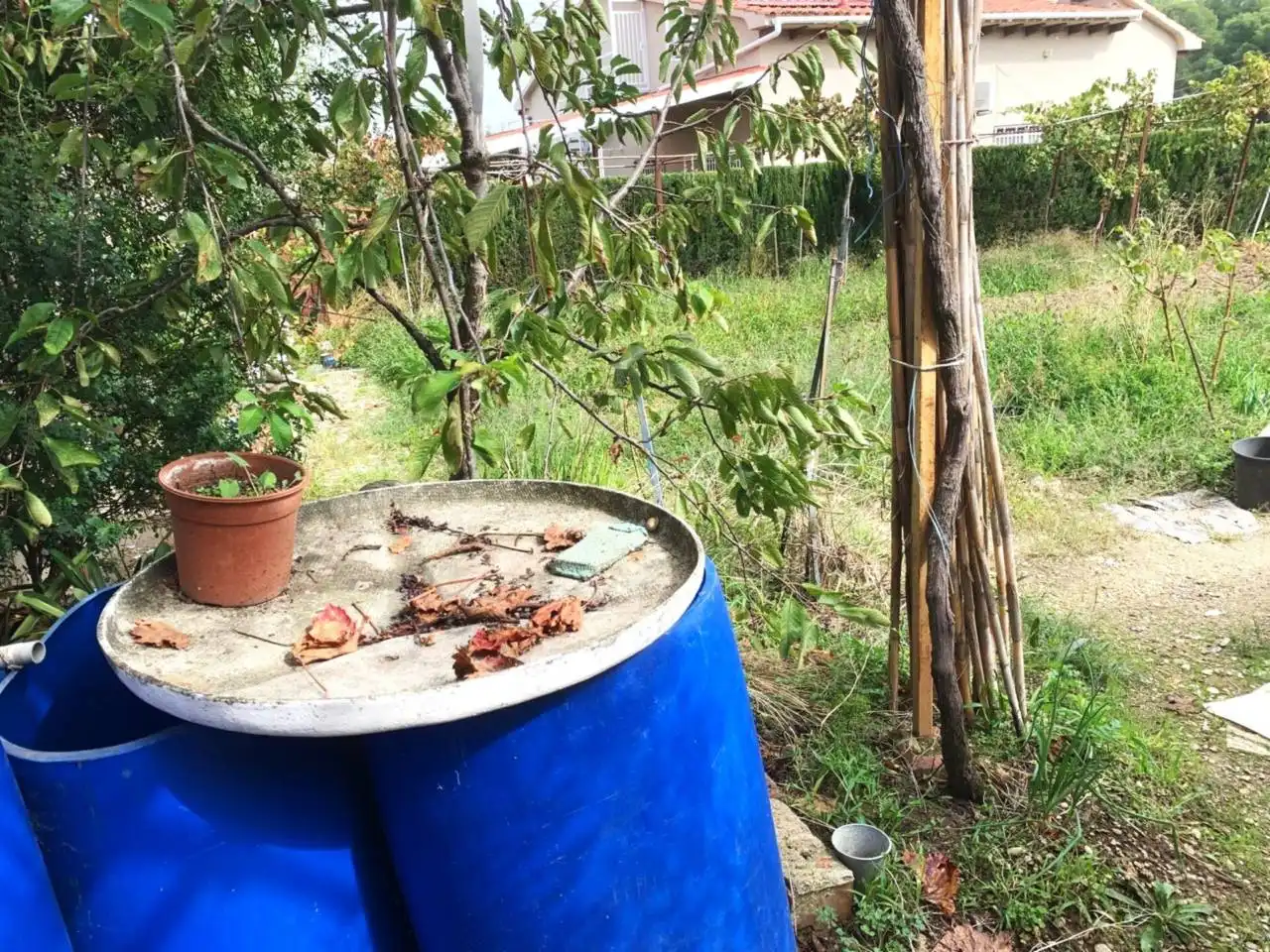 Jardí de Residencial en venda en Terrassa