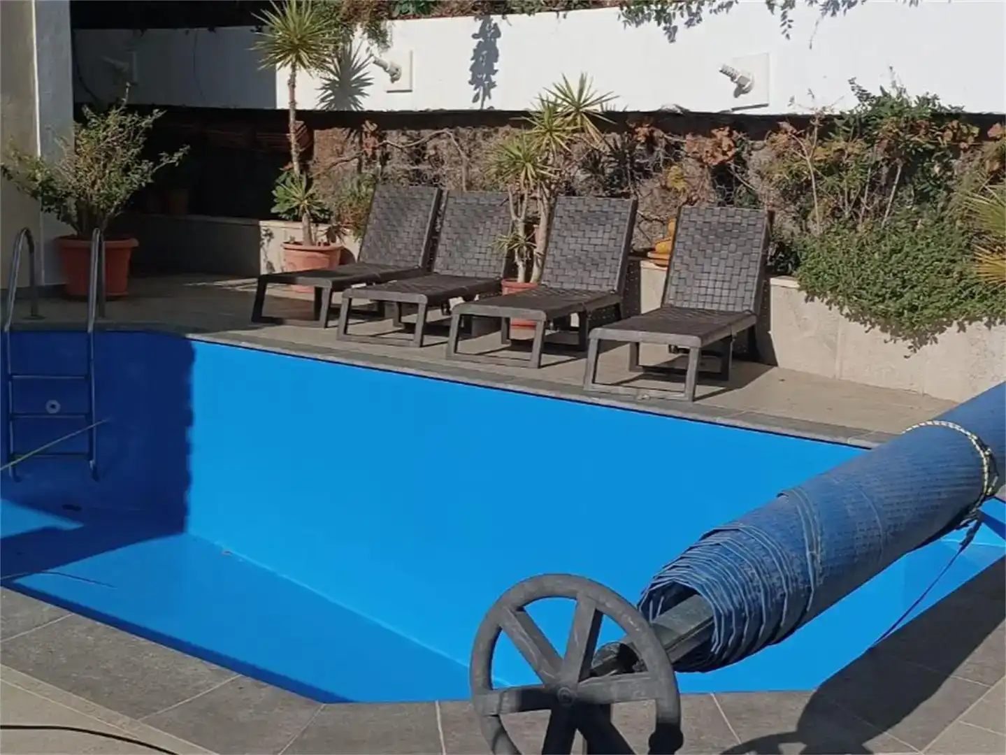 Swimming pool of Houses for rent in Torrox  with Swimming Pool and Balcony