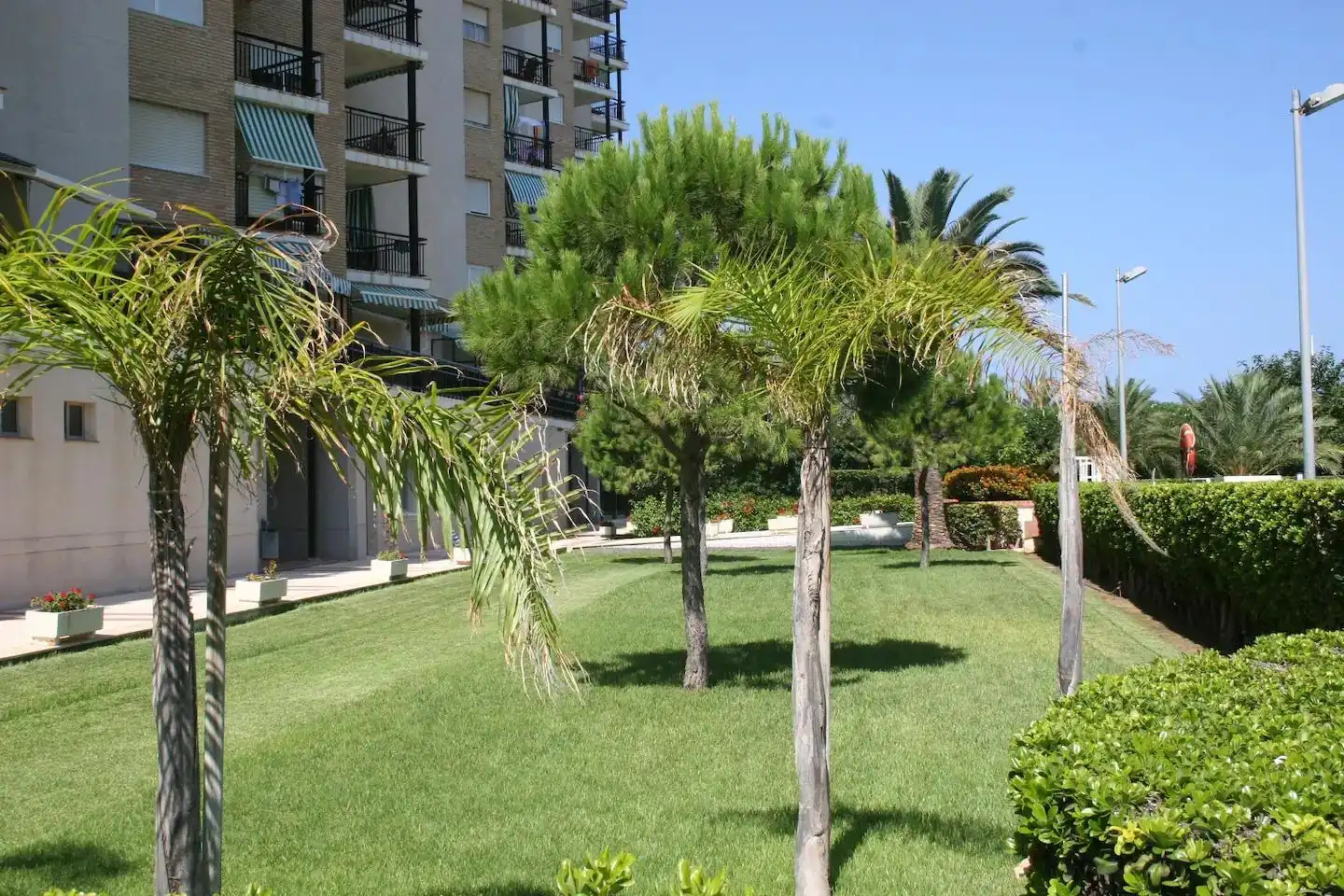 Mini appartamento con terrazza in affitto a Playa de Gandia, imagen 9