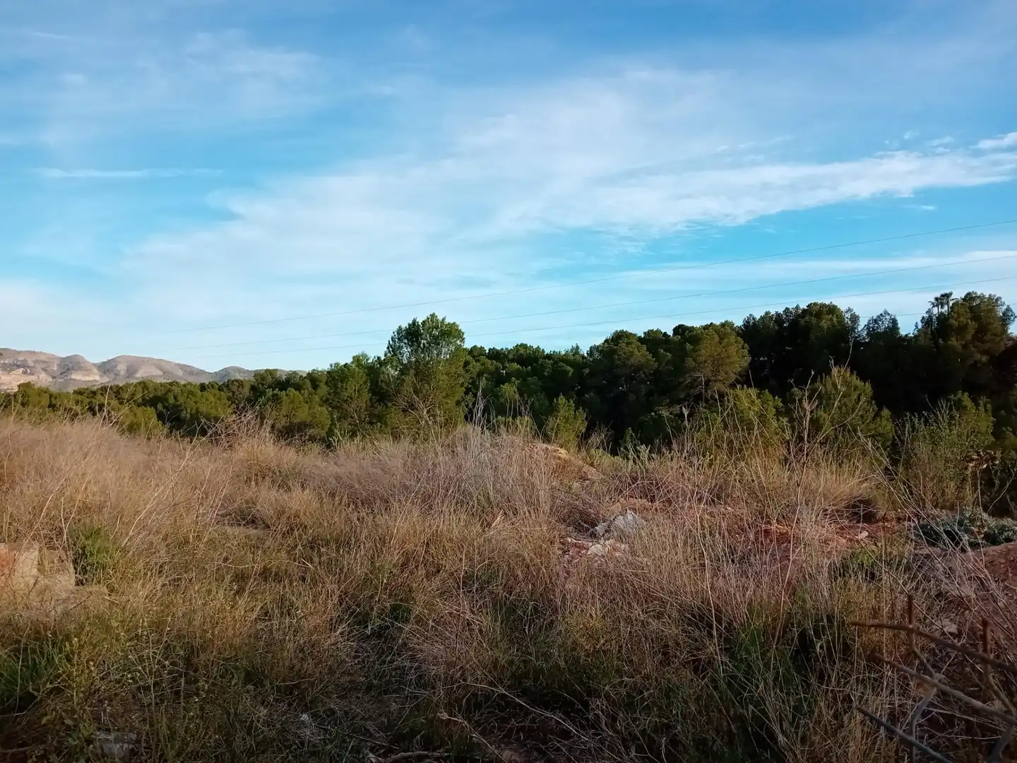 Terrenos y solares en venta en Escandinavia - Cautivador, imagen 3