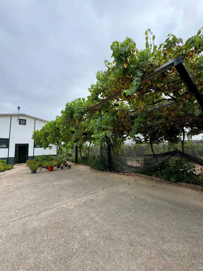 Casa rústica amb jardí en venda a Cantillana