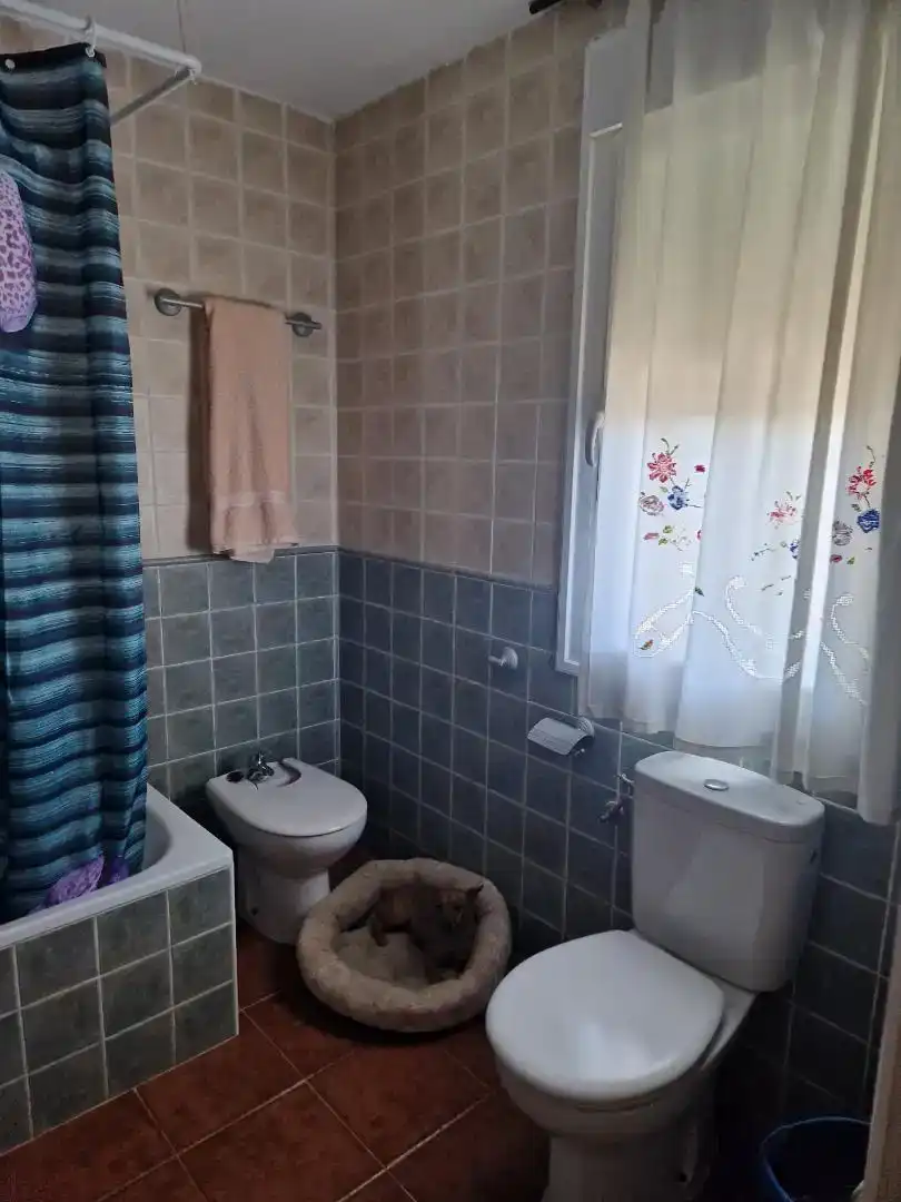 Baño de Casa o chalet en venta en Montesclaros con Jardín privado y Balcón