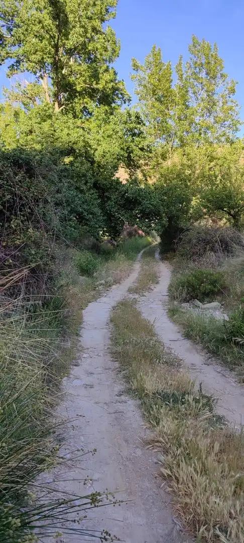 Rustikales Grundstück zum Verkauf in Tahal, imagen 24