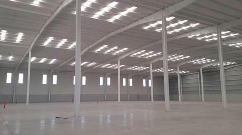 Photo 2 of Industrial buildings for sale in Autovía de Murcia, 8, San Antón, Murcia