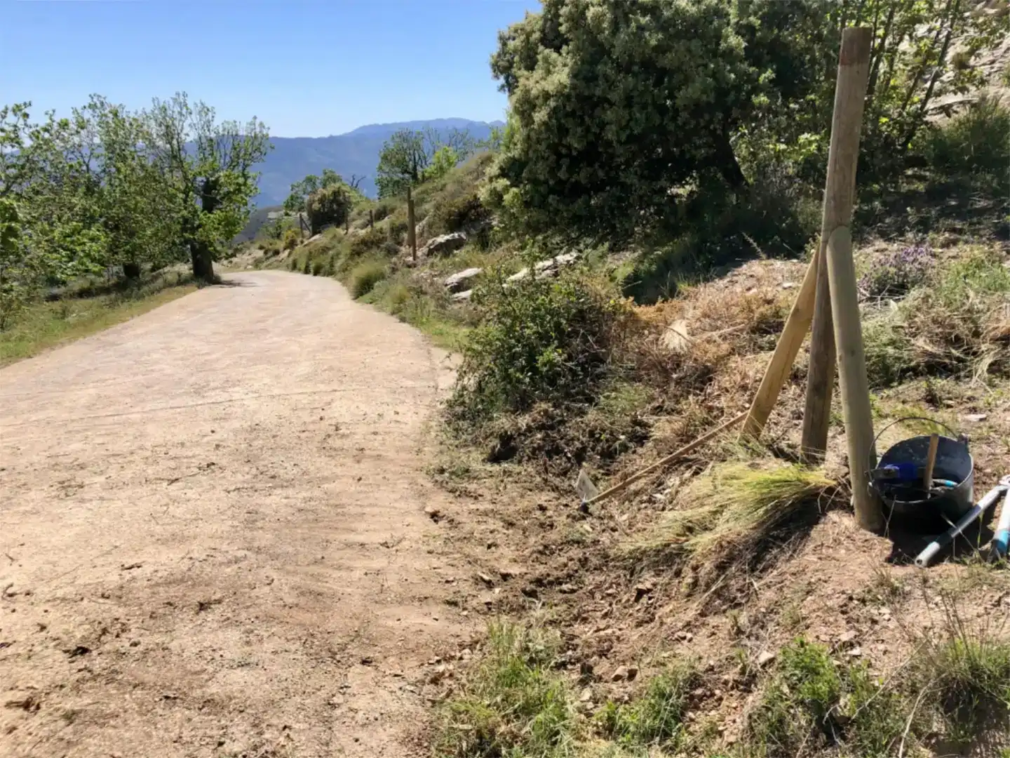 Vista exterior de Terreno en venta en Cáñar