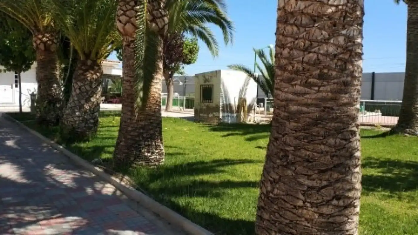 Vista exterior de Casa o chalet en venta en Novelda con Aire acondicionado, Calefacción y Jardín privado
