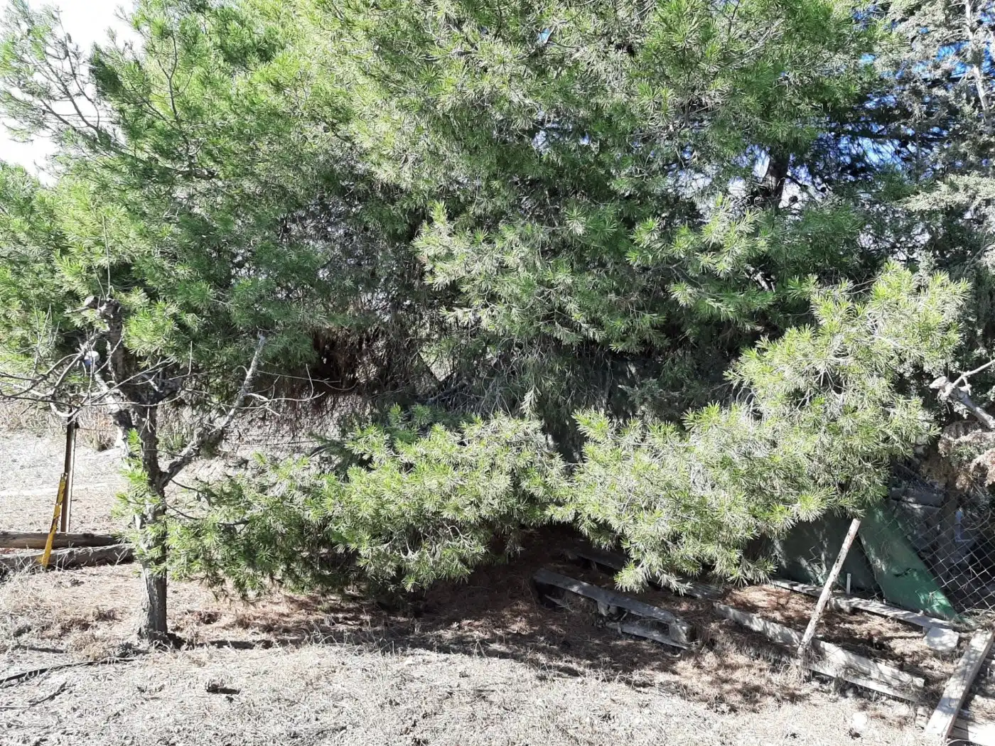 Finca rústica en venta en Lorca con Calefacción, Jardín privado y Terraza