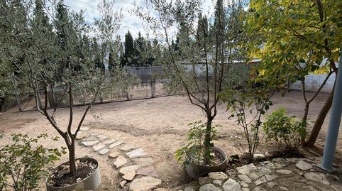 Photo 5 of Flat for rent in Almansa, Albacete