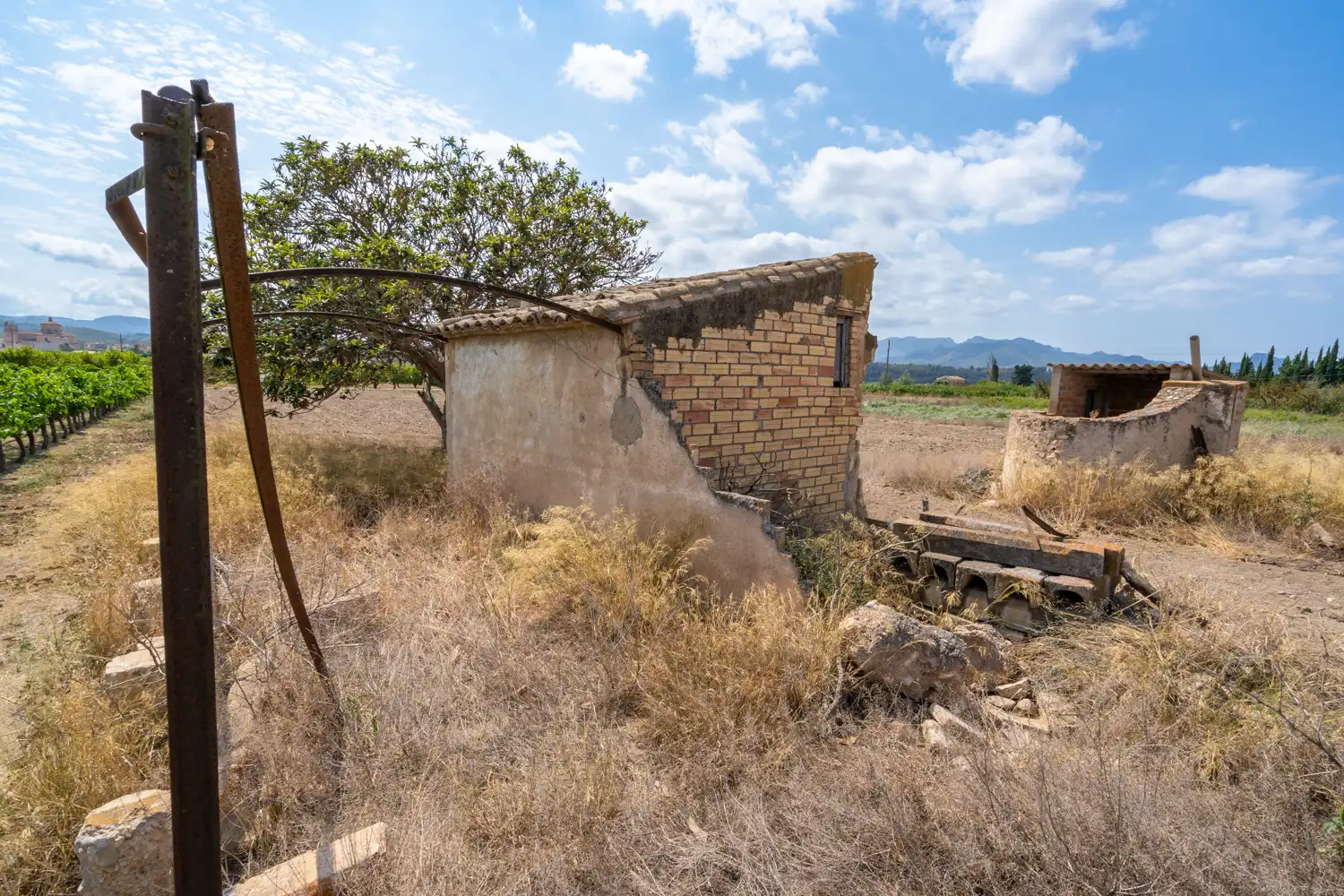 Rural land for sale in Ginestar, imagen 4