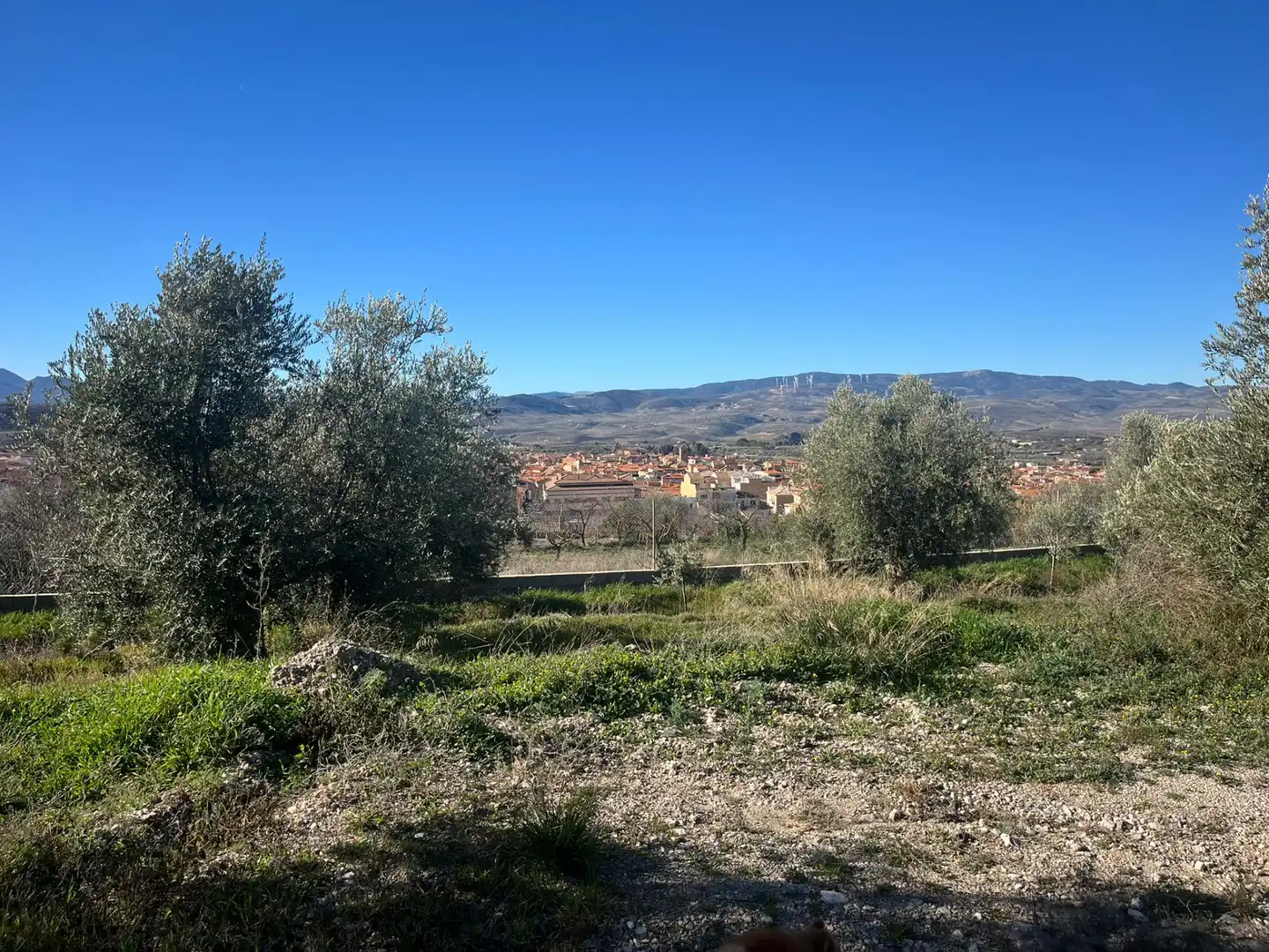 Rural land for sale in Calle Jose Saramago, imagen 8