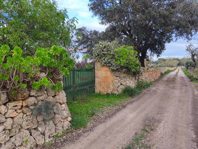 Casa-chalet en Venta en Algaida