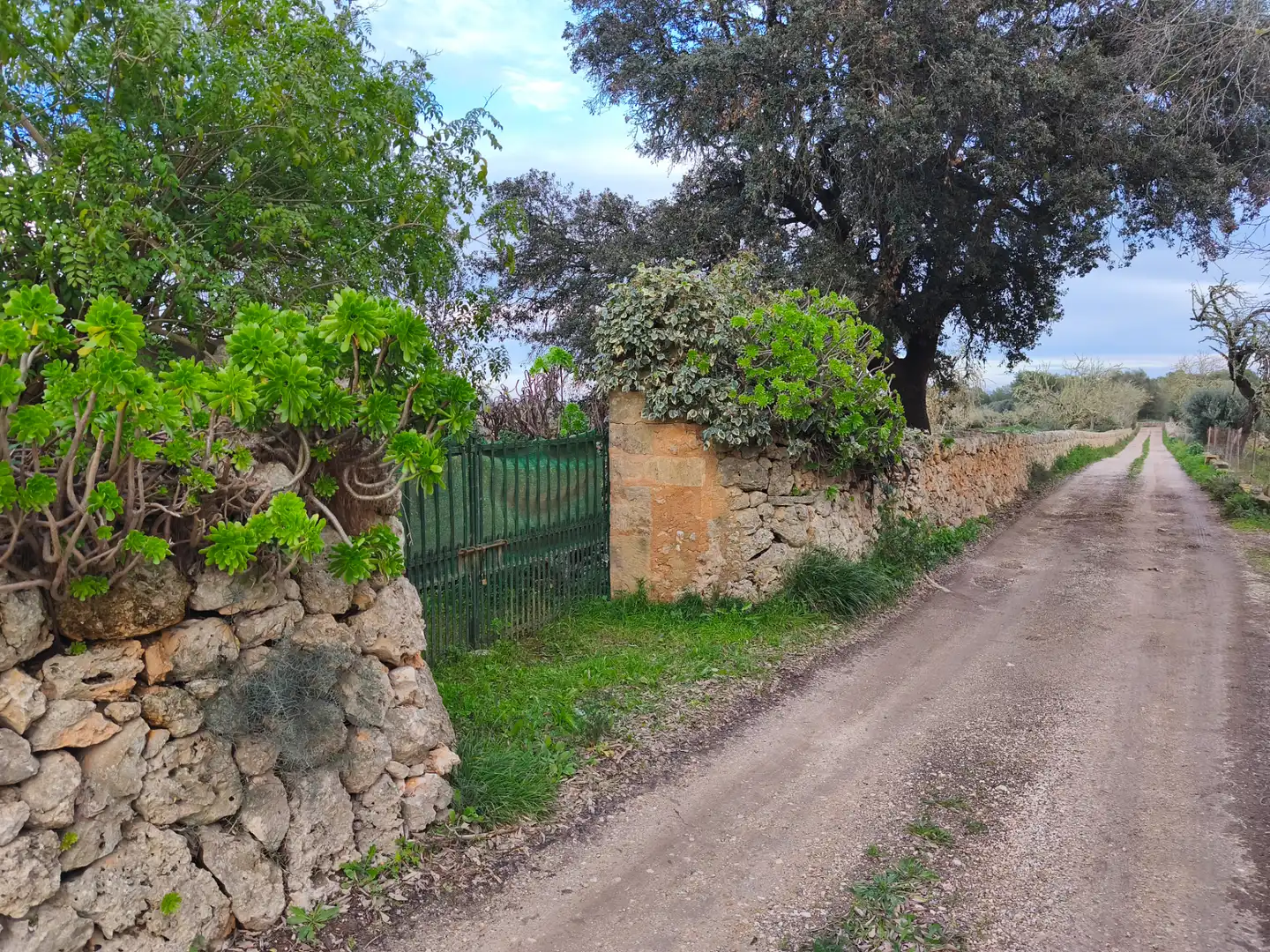 House with garden for sale in Algaida