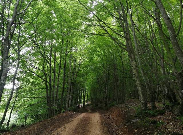 Casa-chalet en Venta en Oña