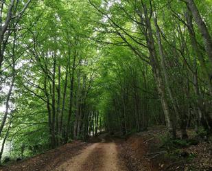 Vista exterior de Casa o xalet en venda en Oña amb Jardí privat, Terrassa i Traster