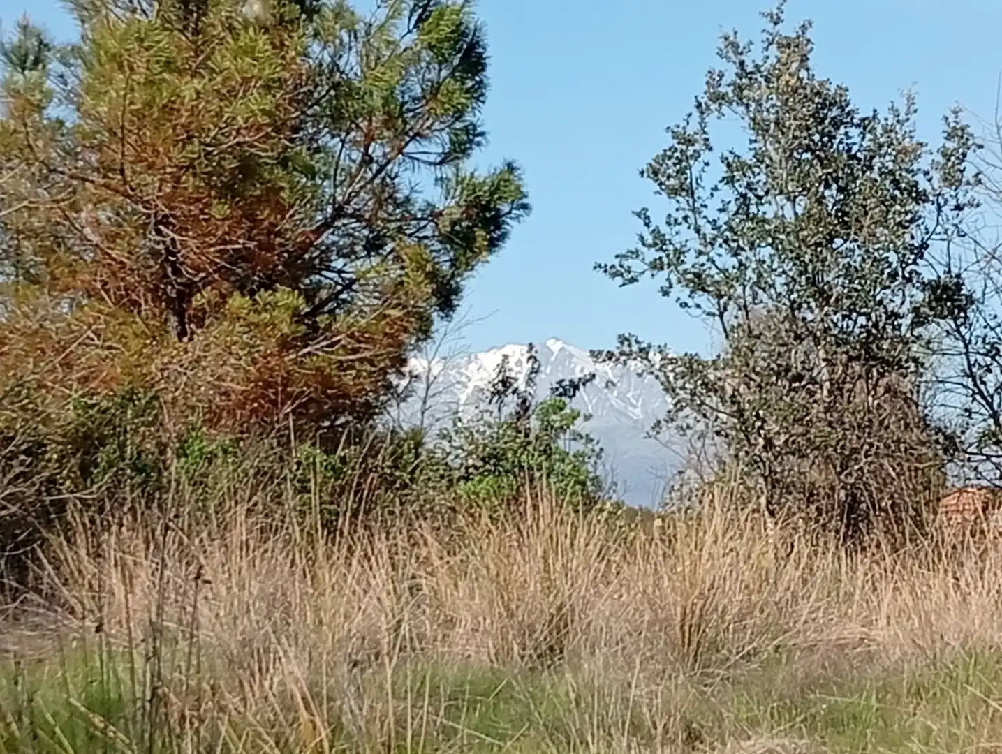 Terreni e lotti in vendita a Villanueva de la Vera, imagen 40