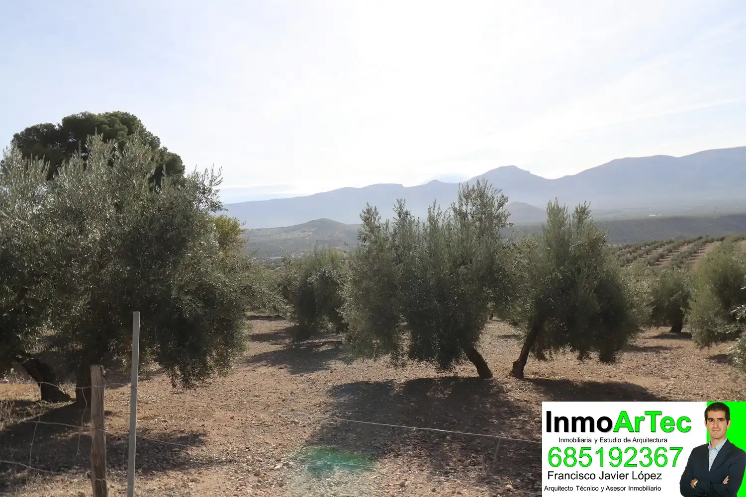 Finca rústica en venda en Iznalloz amb Jardí privat, Terrassa i Piscina