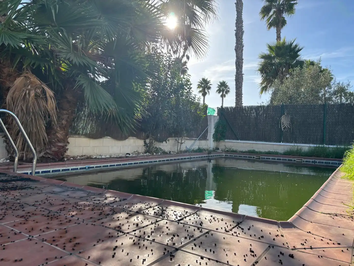 Xalet amb piscina en venda a Novo Sancti Petri, imagen 2