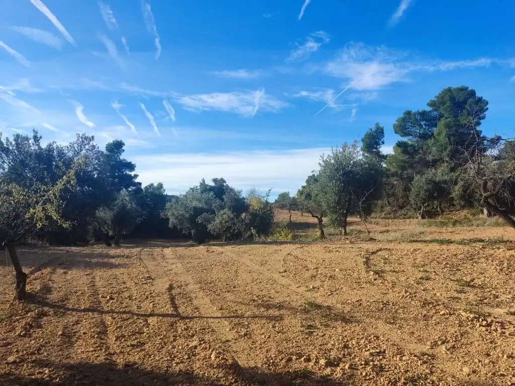Terreni e lotti in vendita a Cretas